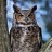 innocuousconundrumpicks: