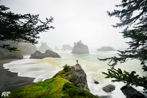 chrisburkard: The raw beauty of the Pacific Northwest never ceases to amaze.www.chrisburkard.com