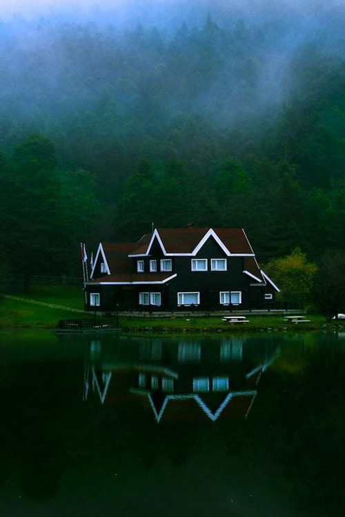 plasmatics:  Untitled by Esin Topuz   Want