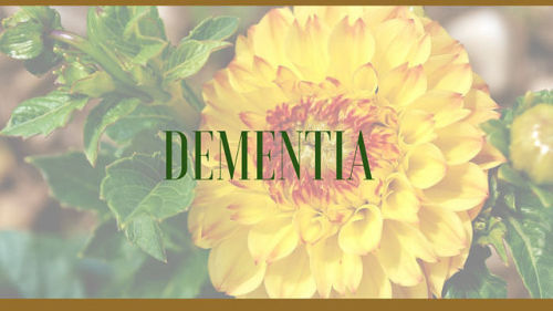 Herbs with the Most Promising Supportive Information for Treating Dementia t the moment, there is no