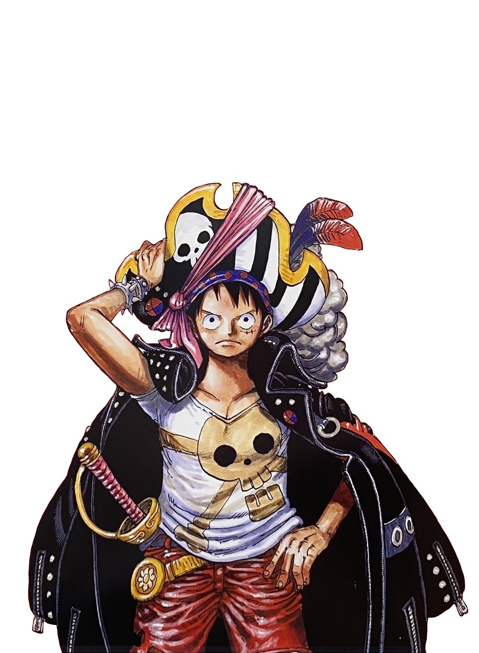 Pin by Jenny on Stampede outfit  Luffy, One piece manga, Monkey d luffy