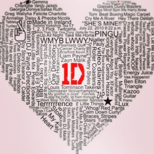 One direction :33 #one #direction #directioner #forever #harry #niall #liam #louis #zayn #los #amo #she #is #mine #wmyb #lwwy #etc #:3