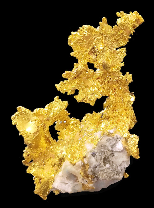 Exquisite Crystalline Native Gold on QuartzLocality: Eagle&rsquo;s Nest Mine, Placer County, Califor