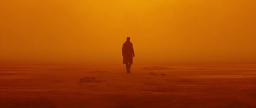 Blade Runner 2049 (2017)Director: Denis VilleneuveDOP: Roger Deakins