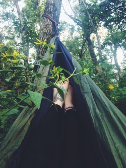 eartheld:  veggiesandtea:  Tonight’s bed:)  mostly nature 