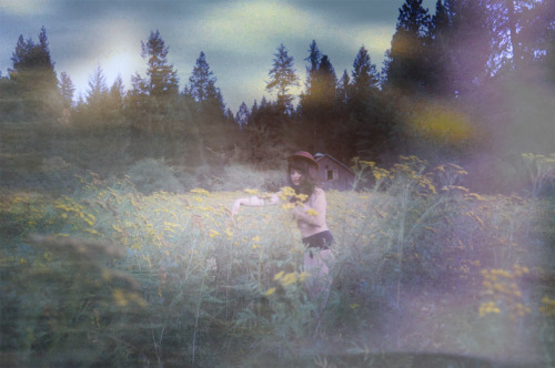 definitelydope:  sundowning (by bee hives) 