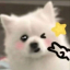 fr0ggysaur