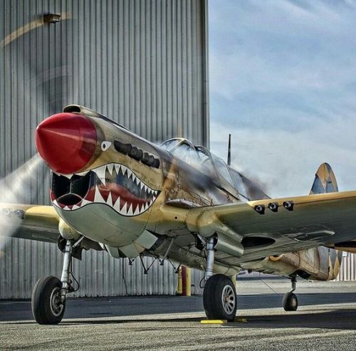 planesawesome:   P-40 KITTYHAWK  