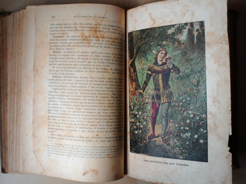 3nightbird3:I love books and I love collecting them, specially when they are old and beautiful and keep forgotten knowledge. This particular one I bought it in a local antique book shop in Badalona, city of Barcelona, for around seventeen euros. It is