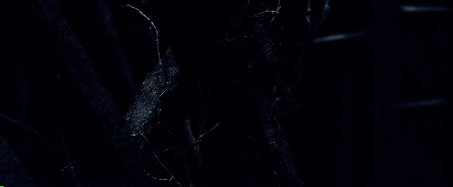 arwwenn:“Something moves in the shadows, unseen…”