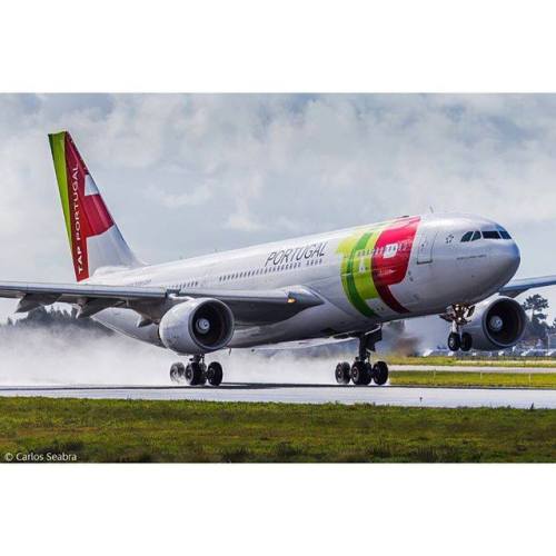 TAP Portugal - Airbus A330-200