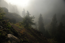 90377: foggy dropoff by KristianSven on Flickr. 