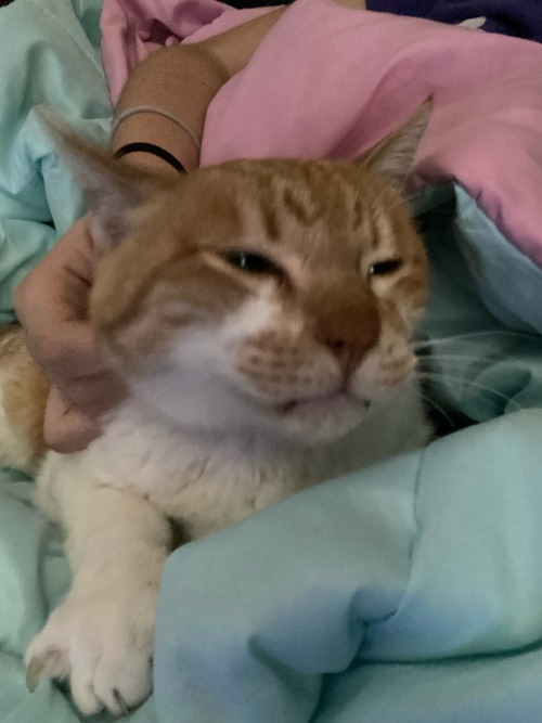 Id Like For You All To Bear Witness To My Special Little Man, His Name Is Bread.