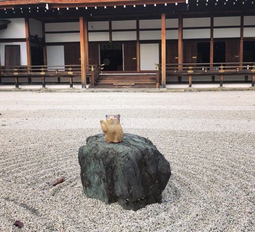 ＼おにわさん更新情報／ ‪[ 京都市左京区 ] 聖護院門跡庭園 Shogoin Temple Garden, Kyoto の写真・記事を更新しました。 ーー江戸時代、仮の御所にもなった皇室ゆかりの寺院