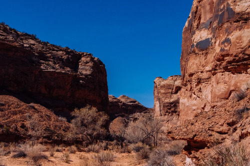 Descending Horseshoe Canyon, Canyonlands National Park