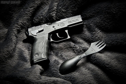 s0w1:  Sphinx-RAspork-01-1200-B3 by Triple Bravo on Flickr.