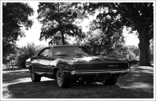 •Dodge Charger RT 1968•O•O ©florentjadot
