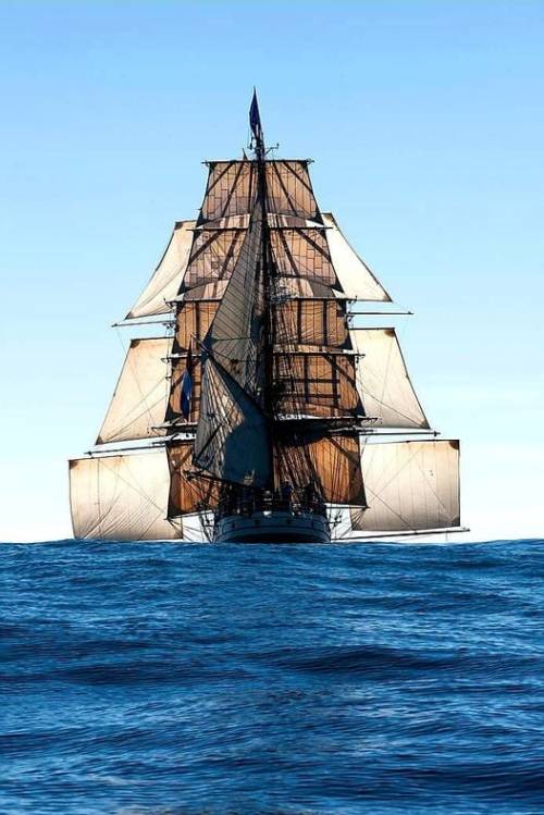 ltwilliammowett:Studding sails! Set onboard the sailing barque Europa. Only used in calm weather wit