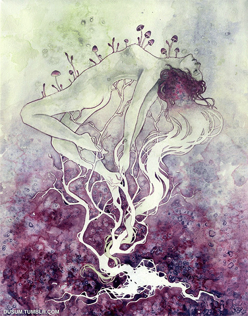 https://o0pepper0o.tumblr.com/post/161579551988