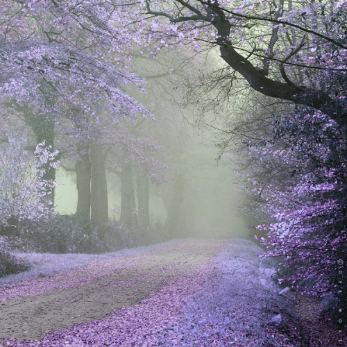 Do you know what color loneliness is?