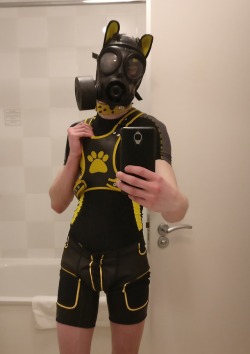 pup-rolo:  Got geared up for some cute and