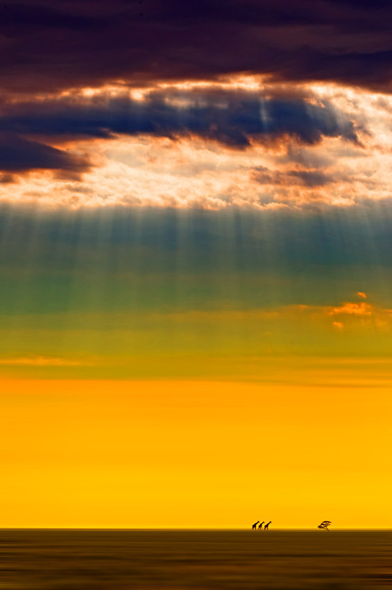 omgshowmetheworld:   Giraffes on the horizon, Etosha NP, Namibia by Mathilde Guillemont