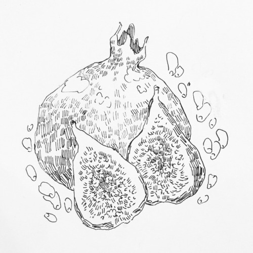 tattoo design of a pomegranate and figs for a friend!