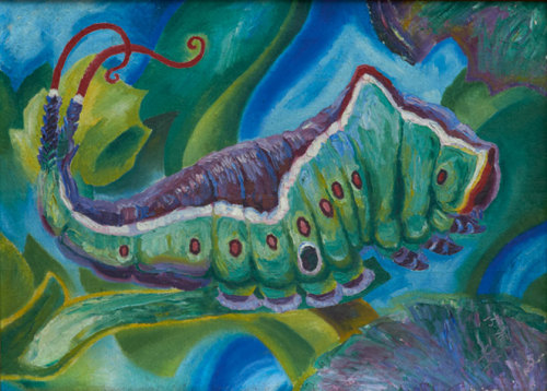 Wenzel Hablik, caterpillar / Gabelschwanz, 1924. Source