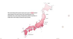 mapsontheweb:  The exact timing of the  cherry blossom in Japan season varies year to year. In 2018 most of Japan peaked a full week sooner than normal because of an especially warm, early spring. If temperatures climb too quickly or a rough storm rolls