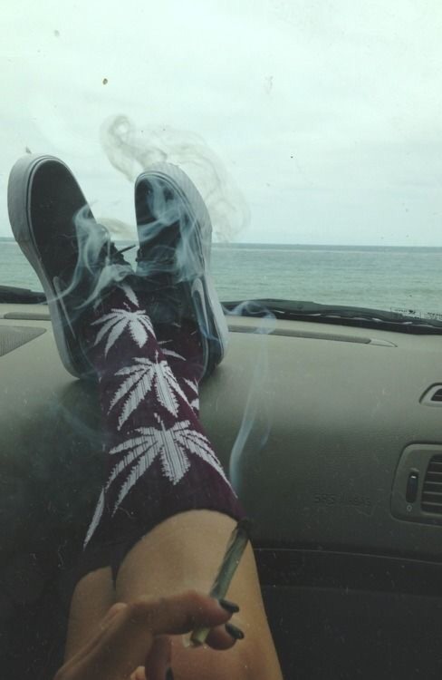 starstruckxxo: BLUNT CRUiSES THANK GOD CARS DONT HAVE SMOKE ALARMS