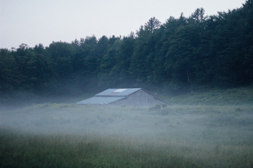 misty meadow