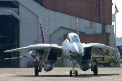 12-gauge-rage:  rocketumbl:F-14D  The Tomcat