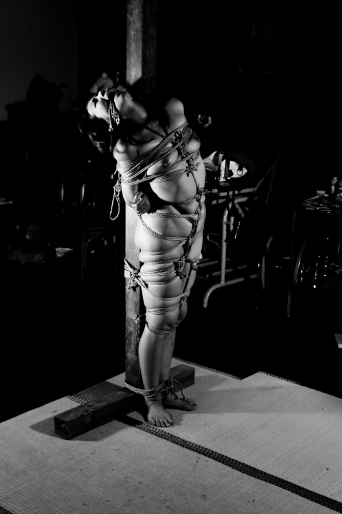 kinbaku55:Tumblr