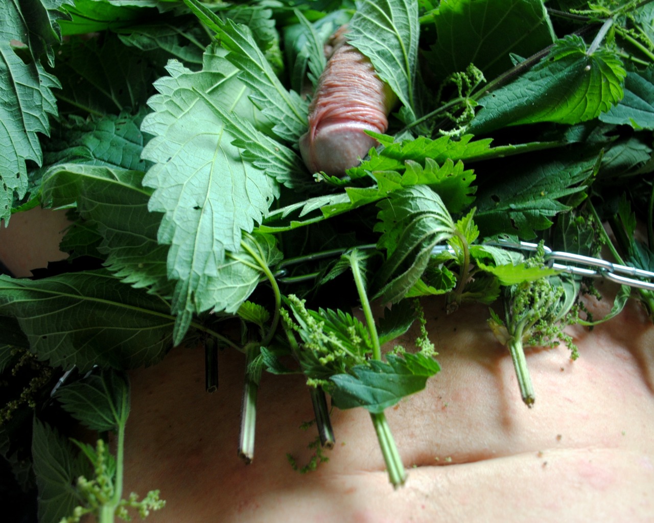 it feels comfortable, these nettles