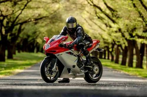 Goooose350