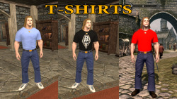 yugichrist:  yepperoni:  this shit goofs me up  i just want to play as an Ordinary Dude in skyrim    look like a tourist in disneyland   *The DRAGONBORN walks in wearing his SKYRIM LOGO T-SHIRT tucked into his JEANS* 