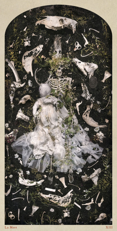 ohevoyev:cards from nicholas kahn &amp; richard selesnick’s ‘tarot of the drown