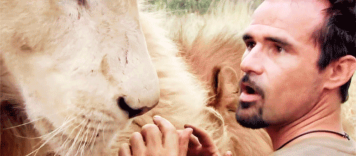 bigcatslions:  Kevin Richardson