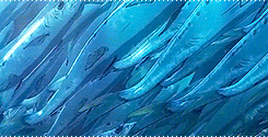 Children Of The Sea (2019)