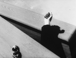zielenadel:Ingmar Bergman . Wild Strawberries . 1957