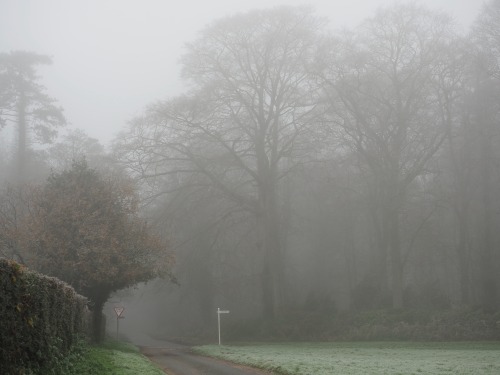 Peddars Way and Houghton, Norfolk.December 2020