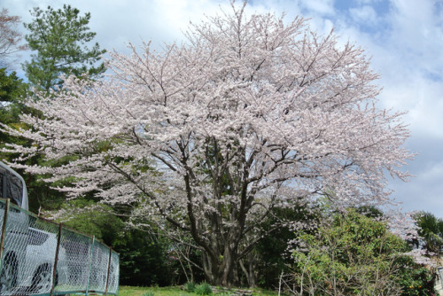 japan-overload: by  Kazushige Tanase