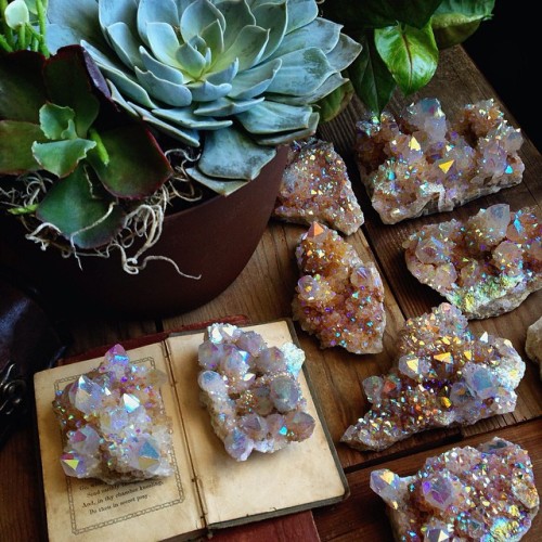 weloveminerals:  Crystals and succulents are my favorite by Sacraluna   @WeHeartIt http://weheartit.com/entry/169710988 