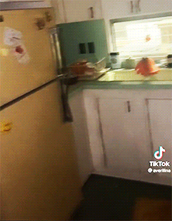 A Look Inside Eddies Trailer!