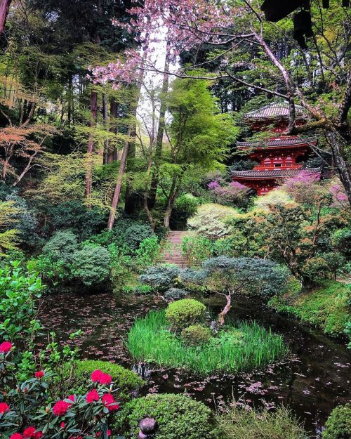 岩船寺庭園 [ 京都府木津川市 ] Gansenji Temple Garden, Kizugawa, Kyoto の写真・記事を更新しました。 ーー三重塔をはじめ数多くの #国指定重要文化財 を残す