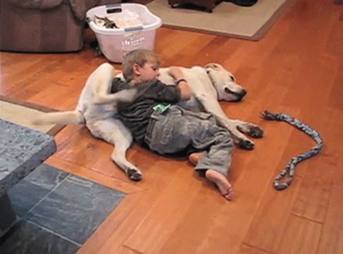 catsdogsblog:  Source http://www.funny-joke-pictures.com