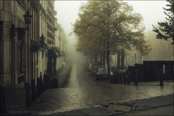 nickelsonwooster:  Mist. allthingseurope:  The Hague, Netherlands (by zilverbat.) 