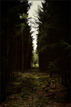 brutalgeneration:  One way out (by murpNL)