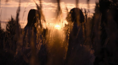 filmswithoutfaces:The Summer of Sangailė (2015)dir. Alante Kavaite