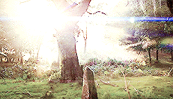 eliaofsunspear:get to know me meme: [1/5] favourite books → The Gemma Doyle Trilogy
